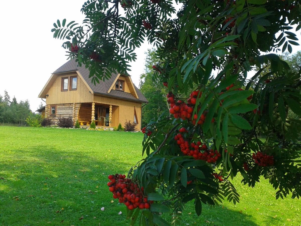 Загородные дома Trīssaliņas Aumeisteri
